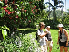 012 Jardin Botanique